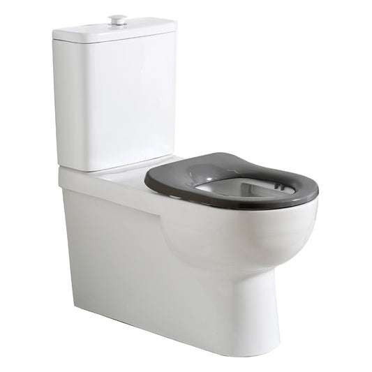 Argent Alto Plus PWD Back to Wall Toilet