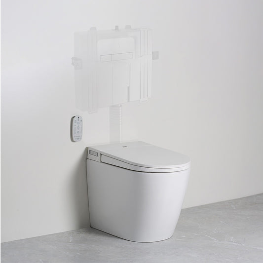 Argent Evo Wall Faced Vismart Toilet System