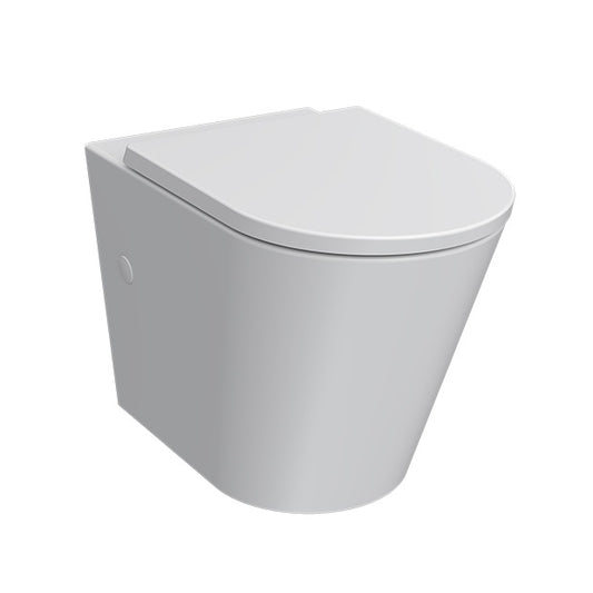 Parisi Linfa Wall Faced Toilet