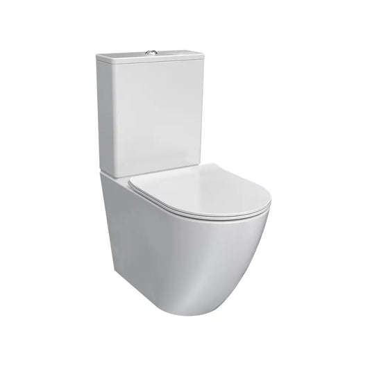 Parisi Ellisse MKII Back to Wall Toilet Suite