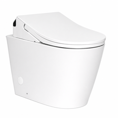 B&H Dara Wall Faced Toilet + TOTO RX Washlet Package