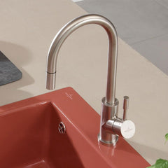 Villeroy & Boch Umbrella Gooseneck Kitchen Mixer