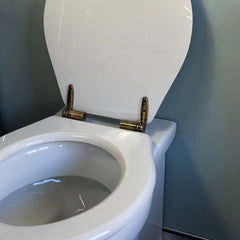 Turner Hastings Claremount Wall Faced Toilet