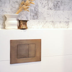 Faucet Strommen Dual Flush Toilet Plate