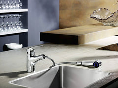 Hansa Mix Kitchen Mixer + Pull Out Spray