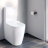 Arcisan SynergiiOne Back to Wall Toilet Suite
