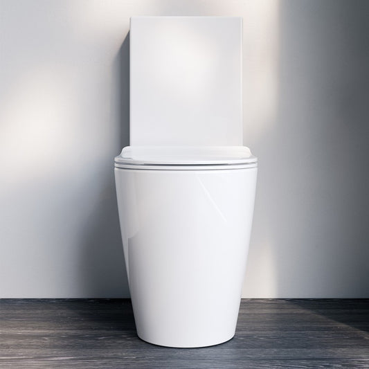 Arcisan Synergii Toilet Back to Wall Toilet Suite
