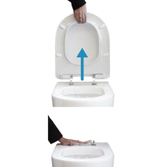 Arcisan SynergiiOne Back to Wall Toilet Suite