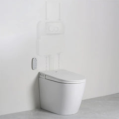 Argent Evo Wall Faced Smart Toilet System Package Installed