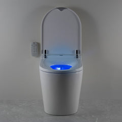Argent Evo Wall Faced Vismart Toilet System - Night Light
