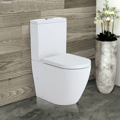 Fienza Empire Back to Wall Toilet Suite - Standard Seat