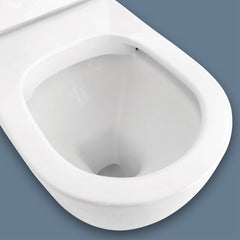 Fienza Koko Back to Wall Toilet Suite