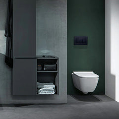 Geberit Sigma 30 Tone in Tone Flush Button Plate - Lifestyle