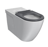 Parisi Ellisse Accessible Wall Faced Toilet