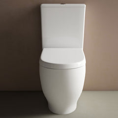 Studio Bagno Lust Rimless Back to Wall Toilet Suite