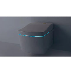 TOTO Neorest LE I Wall Hung Smart Toilet